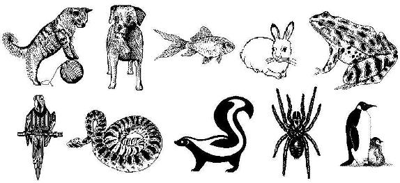 free clip art blessing of the animals - photo #26